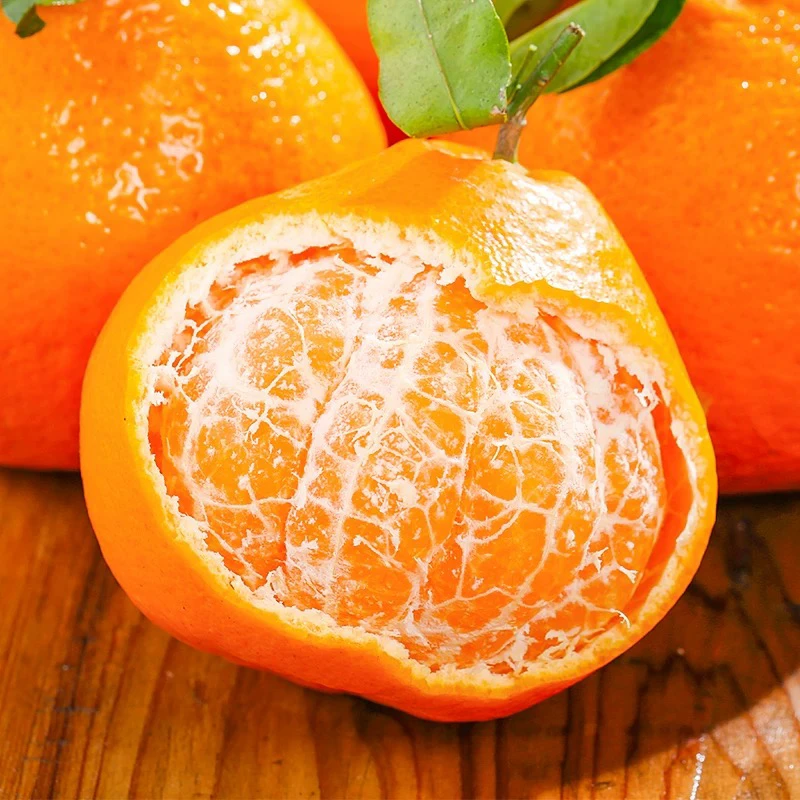 四川蒲江春见耙耙柑