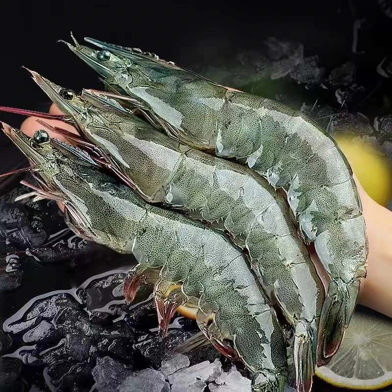 推荐福利 大号海洋大虾 新鲜海虾20/30 活虾速冻水产五包五斤