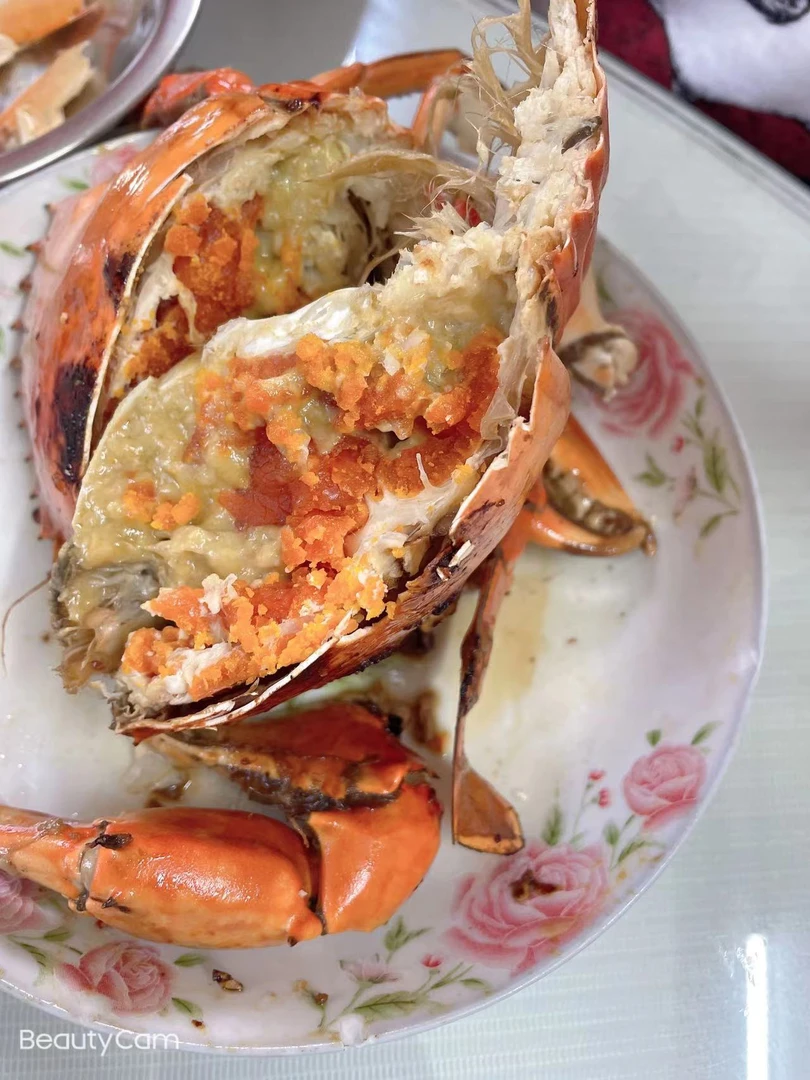 闽南晋江红膏鲟 顺风