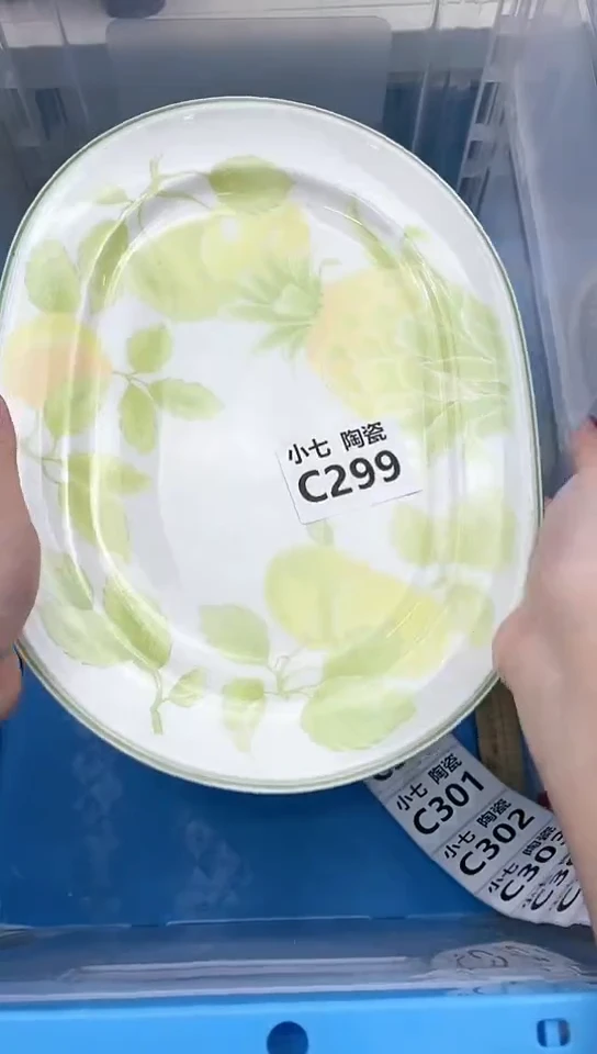 【闪购商品】瓷瓷片299