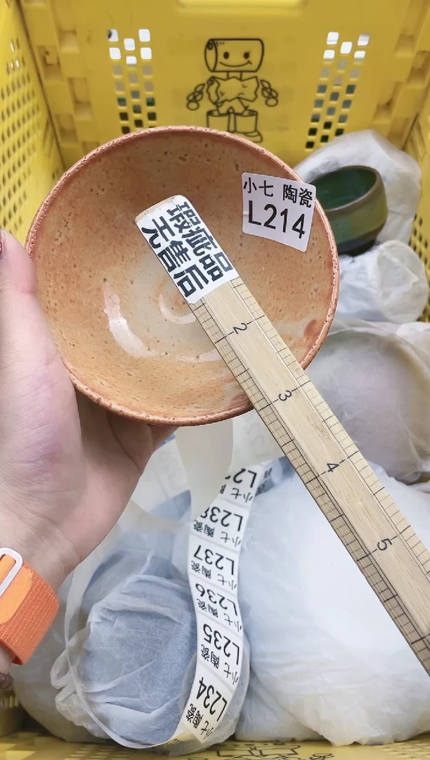 【闪购商品】密胺瓷片214