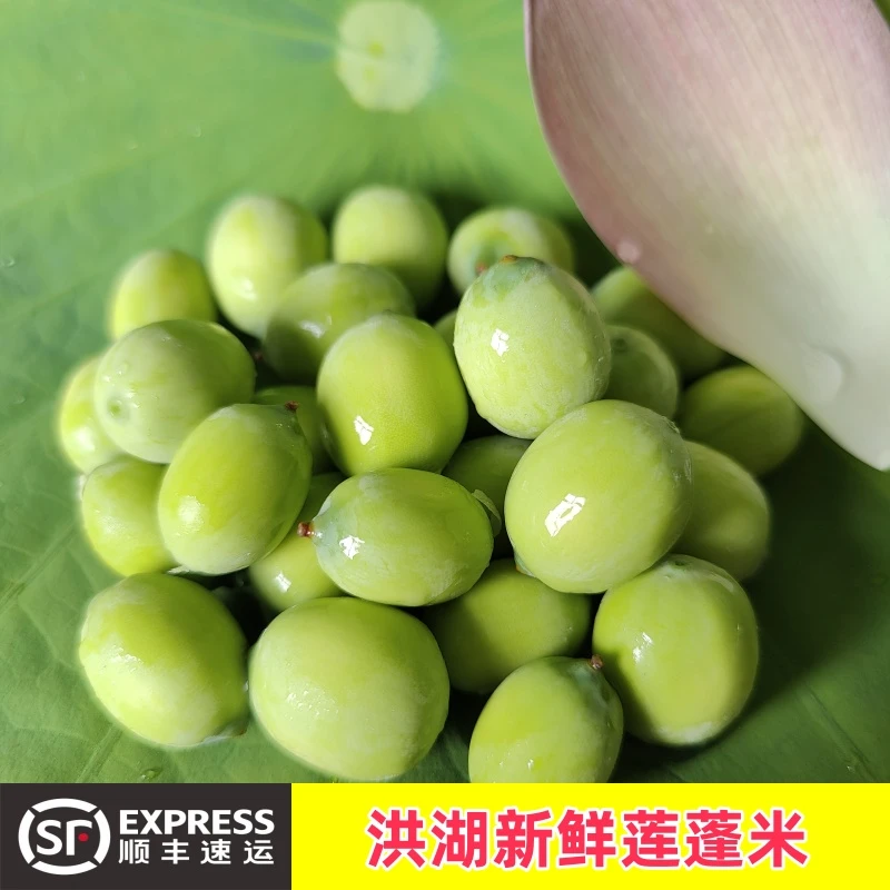 【3斤送半斤】洪湖莲蓬新鲜莲子现摘生吃嫩莲蓬米饱满水果嫩莲蓬