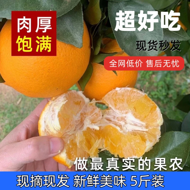 【自播专属】产地直发新鲜古田脐橙中果橙子香甜爆汁纸箱发货非礼箱