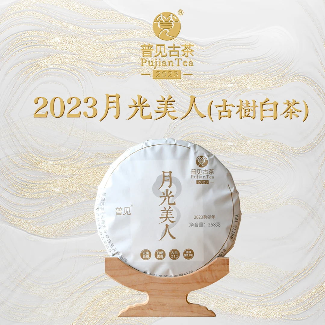 普见古茶2023年月光美人（古白211）古树白茶 连续制作第11年