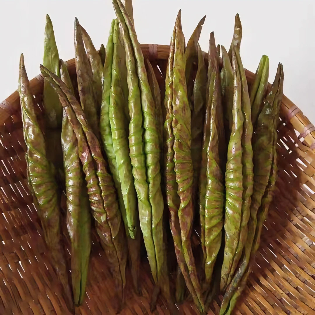 顺丰发货新鲜冰冻嫩荷叶荷叶尖1/2/3/4/5斤炒鸡蛋凉拌特色荷叶卷