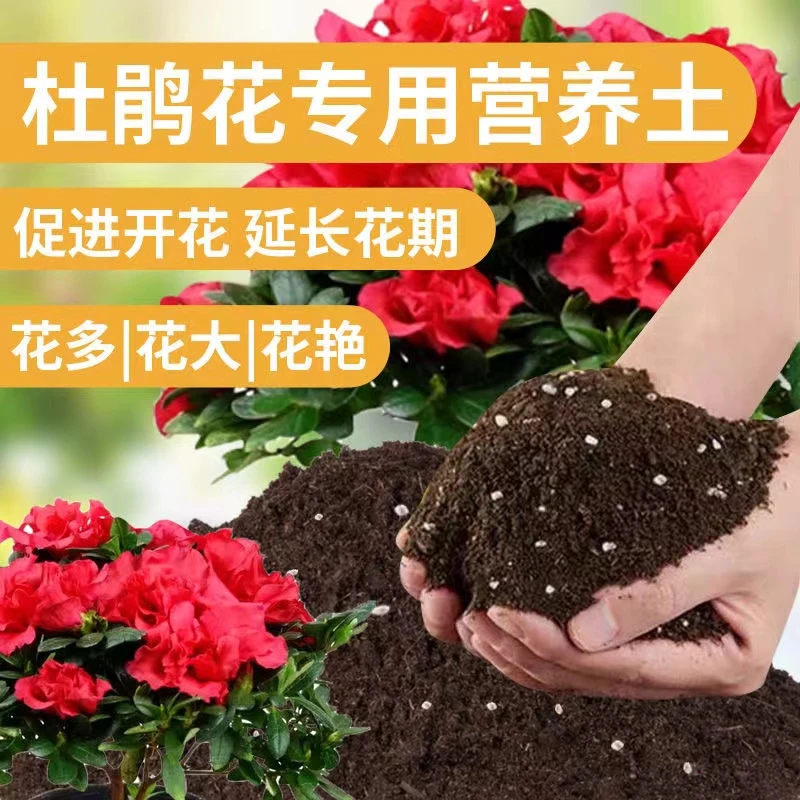 杜鹃花专用土，椰糠泥炭土混合无公害营养土袋装5斤