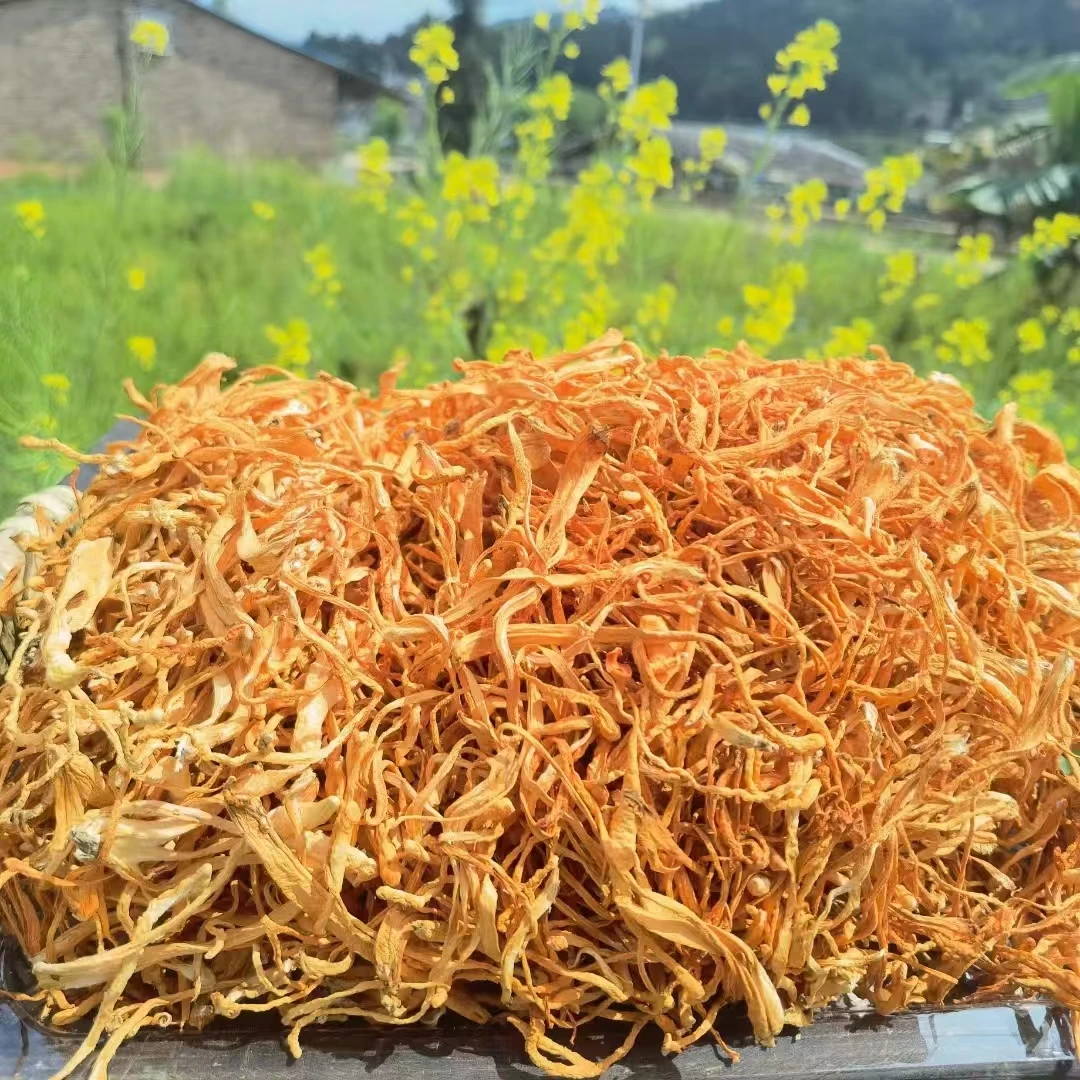 福建无干燥剂净重高山虫草花菌菇新货干货煲汤包清香炖汤料营养