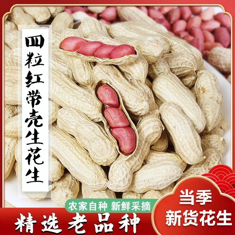 当季新四粒红皮花生果食用带壳生花生米农家经典晒干美味醇香