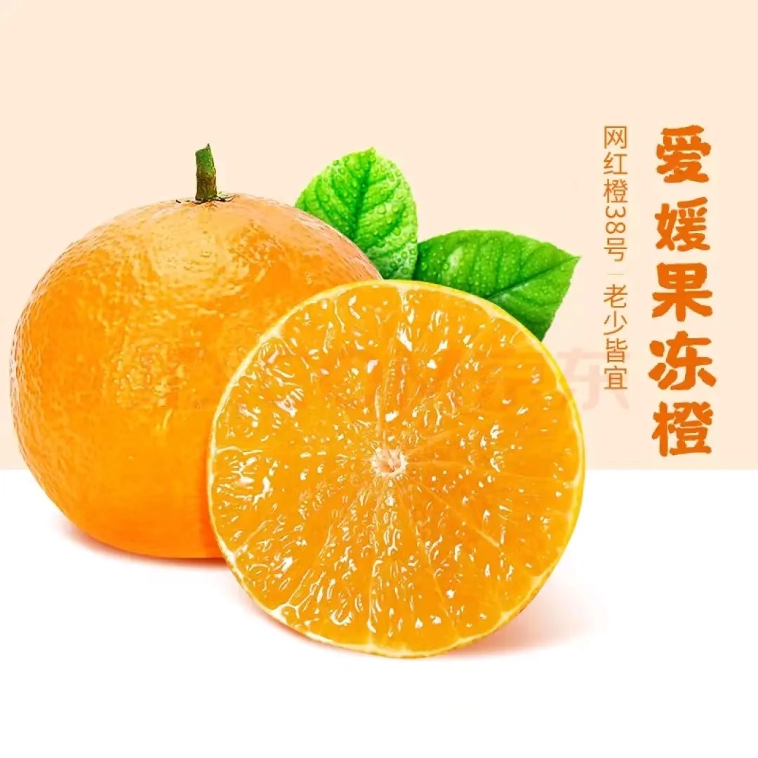 四川爱媛38号果冻橙当季橙子净重5斤装香甜薄皮