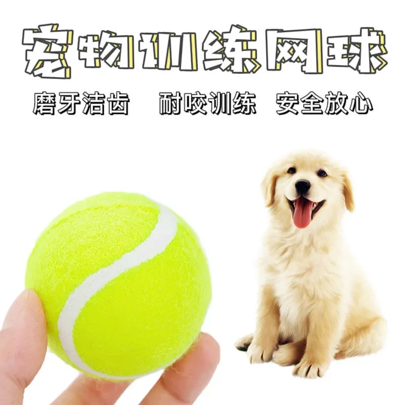 追逐益智网球小型解闷玩具互动橡胶磨牙弹力球训练幼犬洁齿互动球
