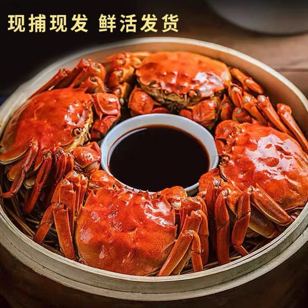 ② 高邮发货  鲜活全母大闸蟹  8只/10只【2两母蟹礼盒装】
