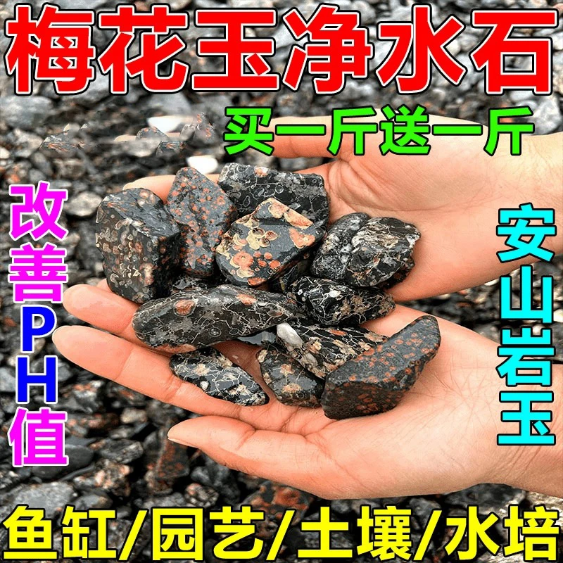 鱼缸石头净化改善水质梅花玉底砂造景含磁性释放氧离子造景石摆件