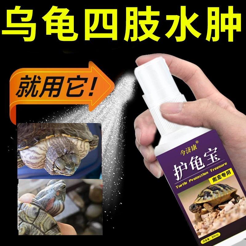 乌龟脖子肿大去水肿腿肿四肢浮肿脖子缩不进去乌龟肿胀龟缸净水