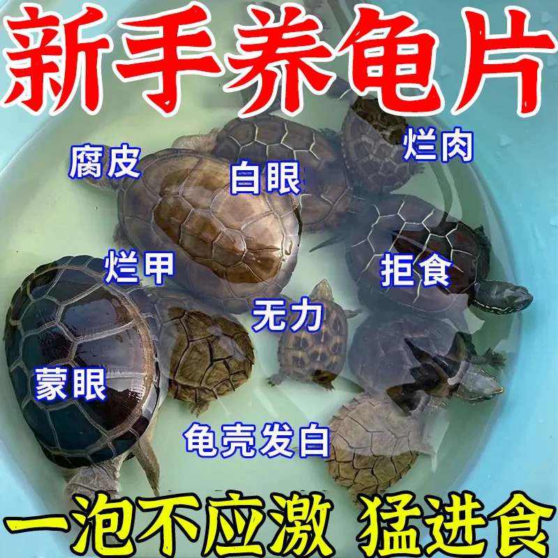 【新手养龟片】猪鼻龟专用片万能龟腐皮烂甲白斑烂甲水霉白眼