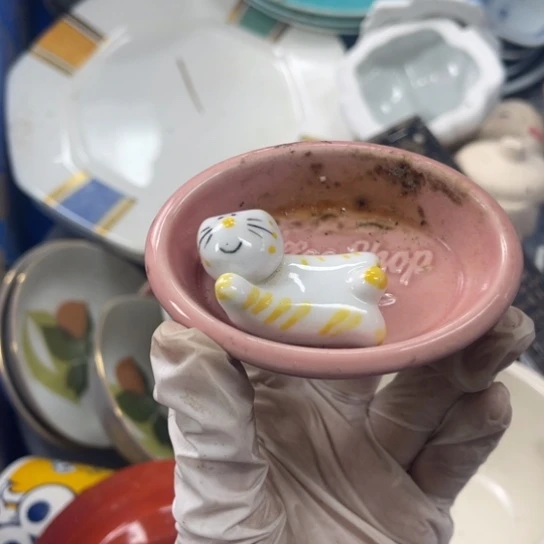 摆件开播啦……开播啦！