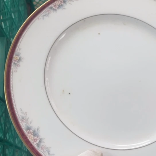 碟开播啦……开播啦！