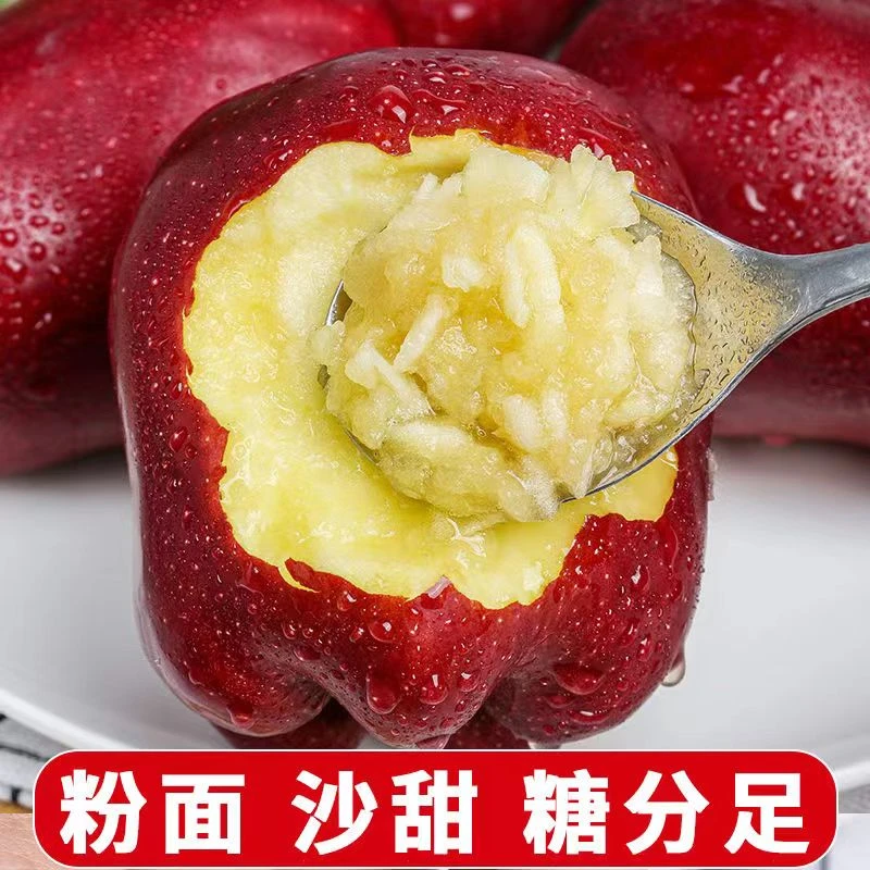 【半岛美食专属】甘肃天水花牛苹果新鲜水果当季平果红蛇粉面果