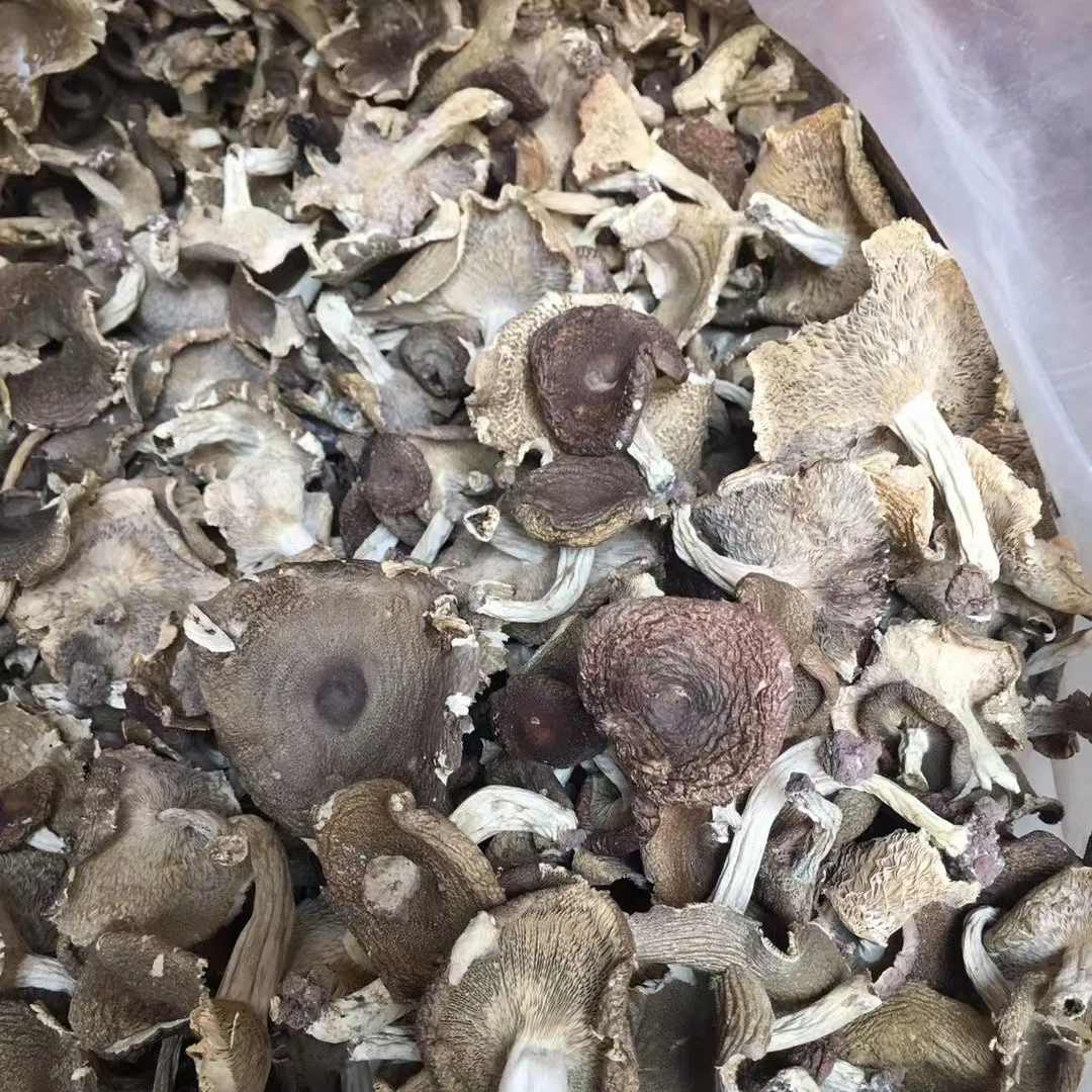 [稻悠悠] 福建武平 带泥本地梨菇250g/500g
