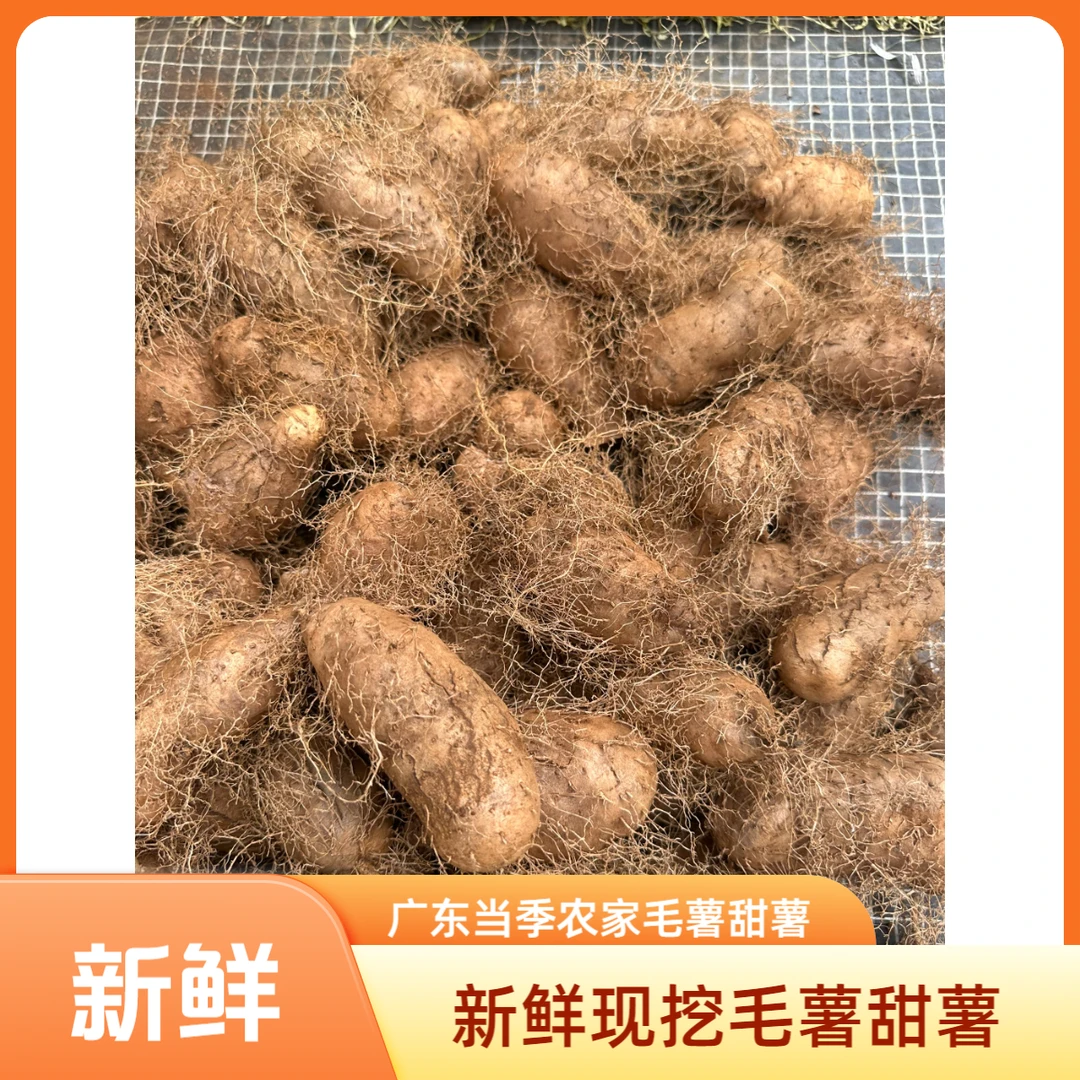 广东当季农家毛薯甜薯淮山怀山药白心脚板薯毛山药田薯刺薯新鲜