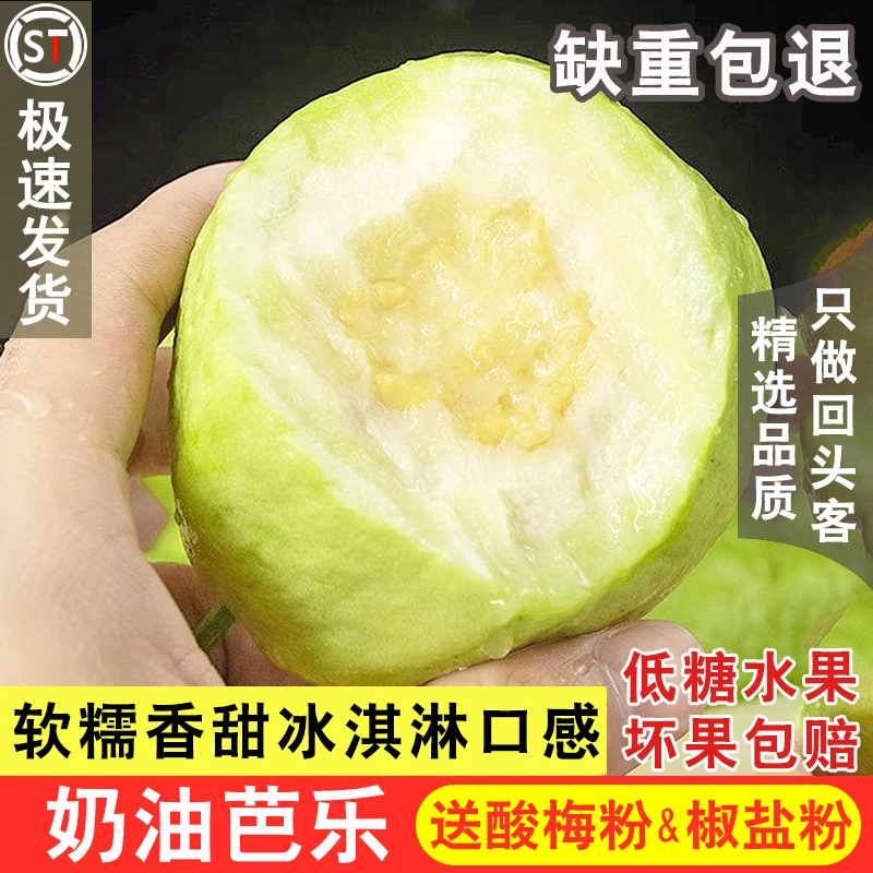 【夏天水果】广西白心芭乐番石榴现摘软糯清甜新鲜热带水果孕妇果