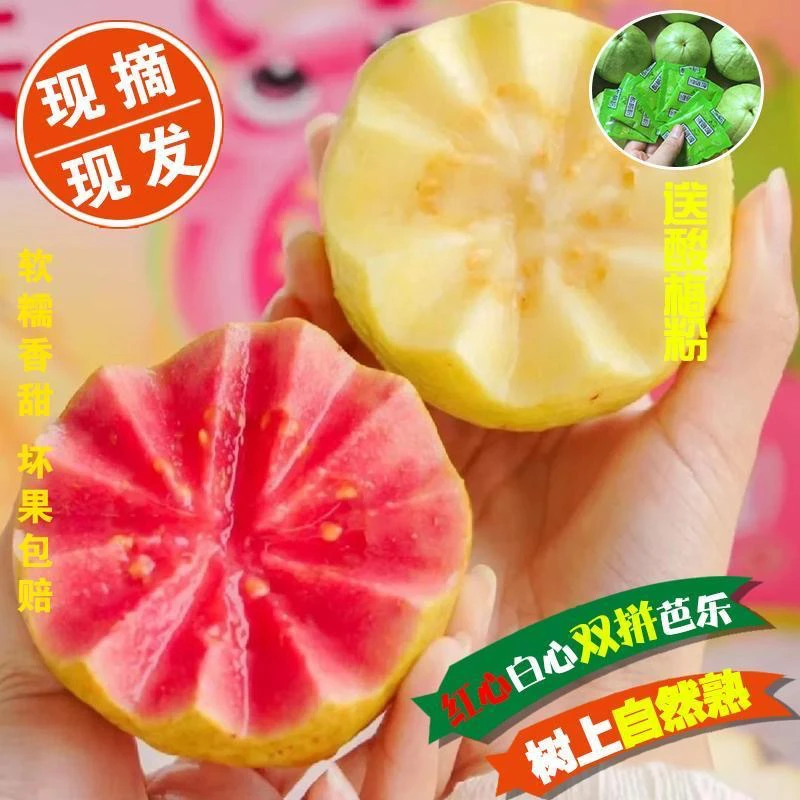 【夏天水果】广西芭乐孕妇低糖番石榴软糯红心芭乐新鲜水果甜软糯