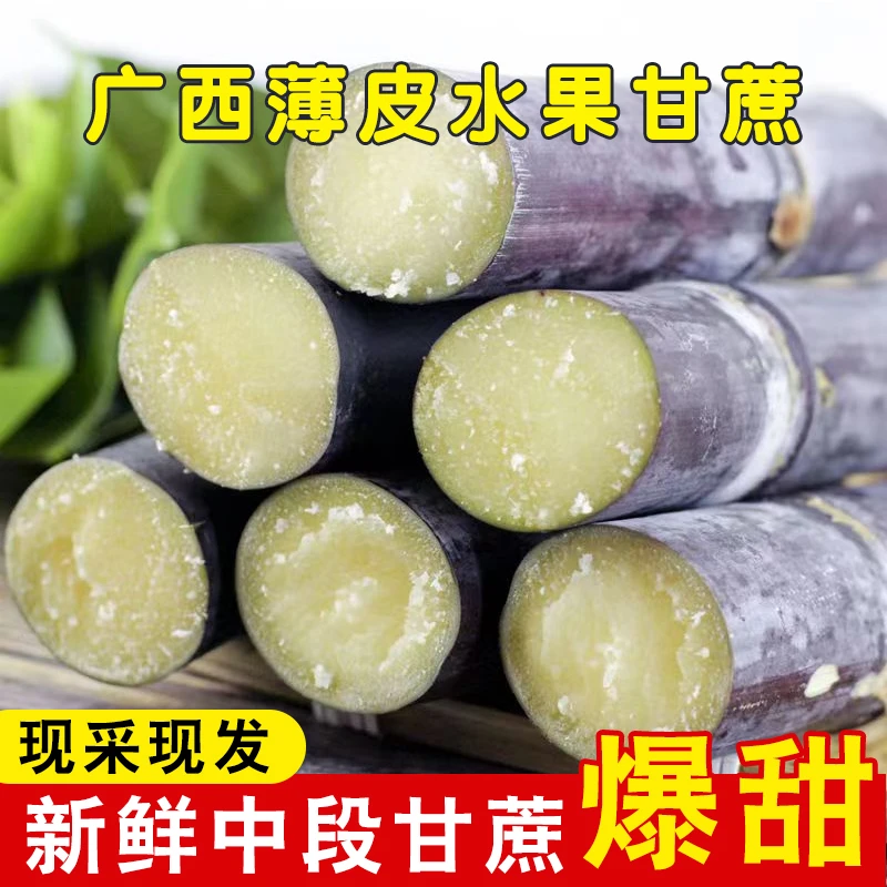 广西黑皮甘蔗5斤9斤应季水果整箱包邮清脆甜多汁现砍现发水果甘蔗