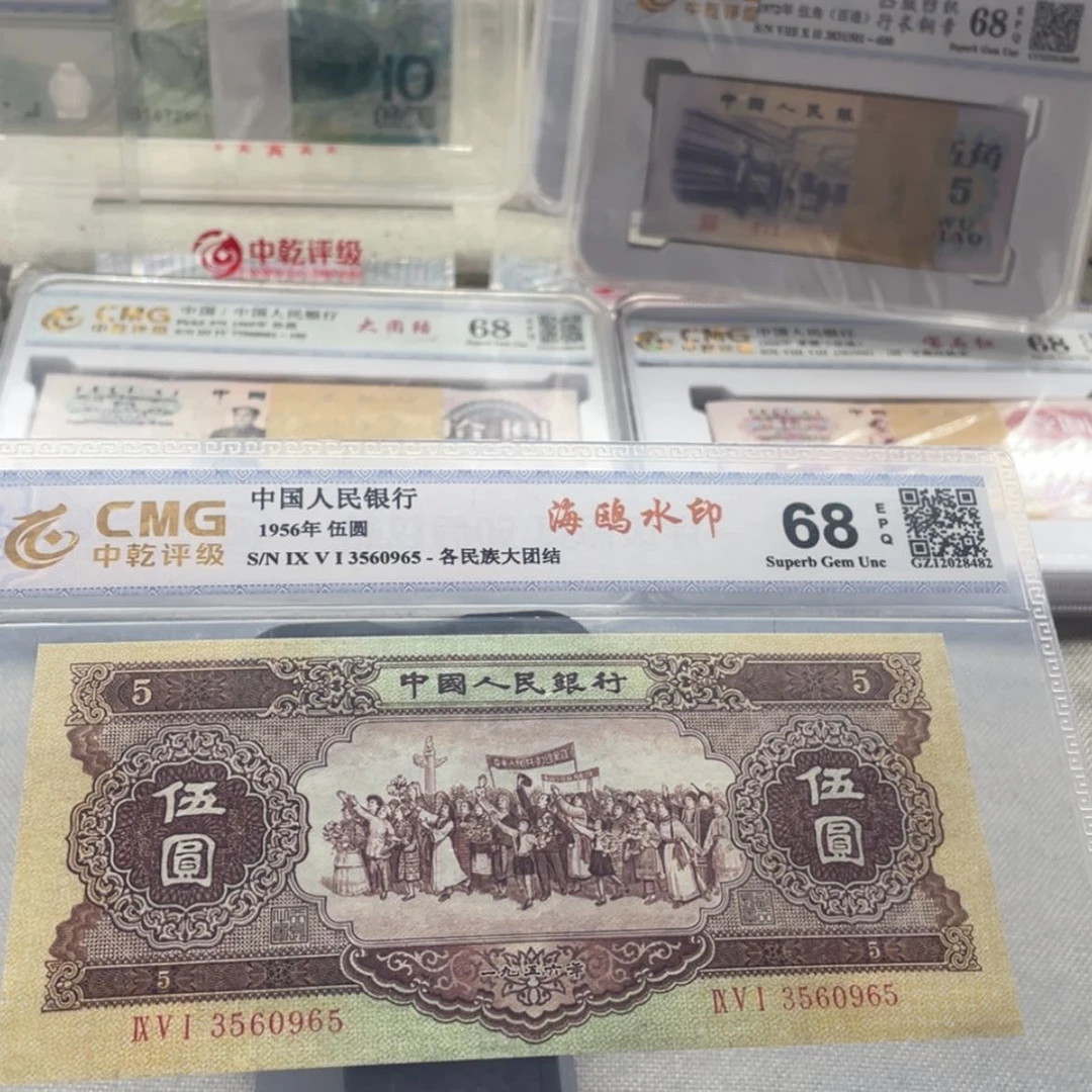 【闪购商品】驹****肉海鸥水印