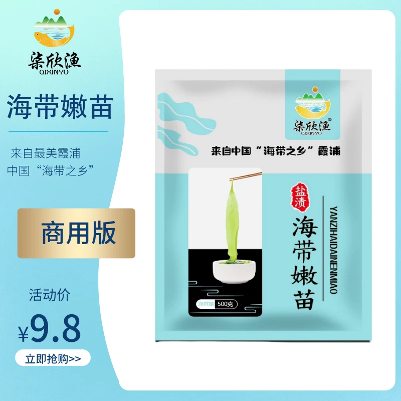 QIXINYU/柒欣渔品质霞浦盐渍海带嫩苗小海带芽火锅煮汤食材500g