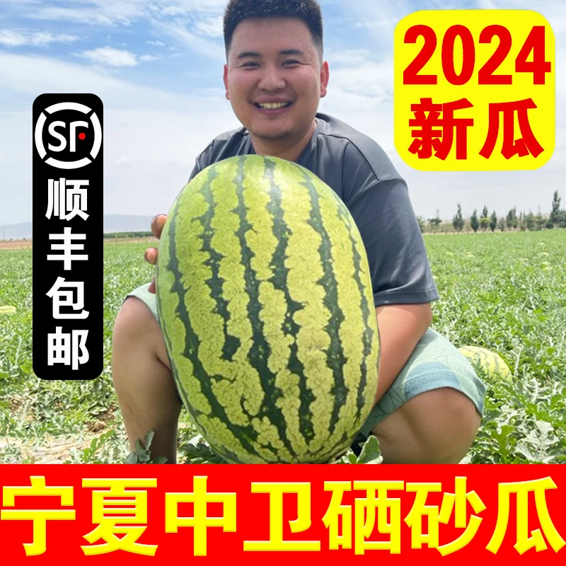 宁夏中卫硒砂瓜现摘头茬大瓜顺丰包邮香山核心产区