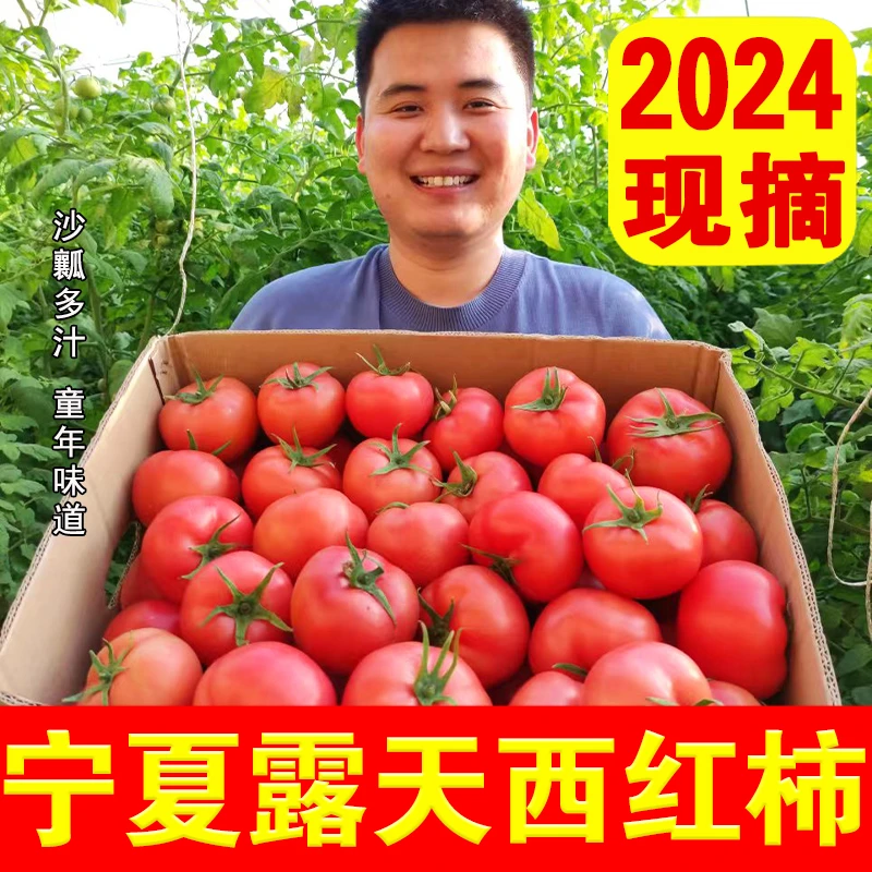 宁夏普罗旺斯西红柿沙瓤多汁水果番茄5斤包邮正宗新鲜自然熟生吃