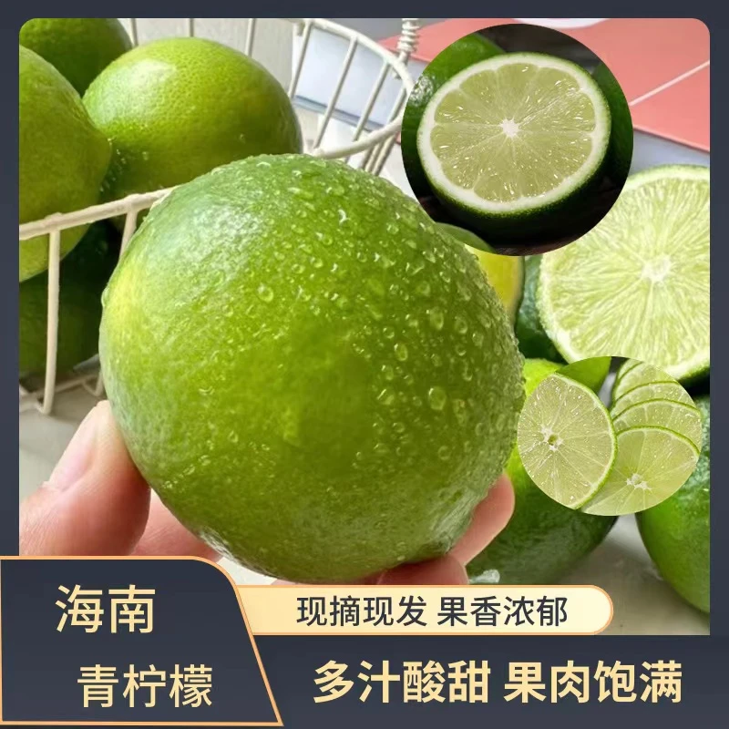 【夏日特惠】海南青柠檬2斤夏天必备新鲜金桔柠檬百香果茶 清新可口