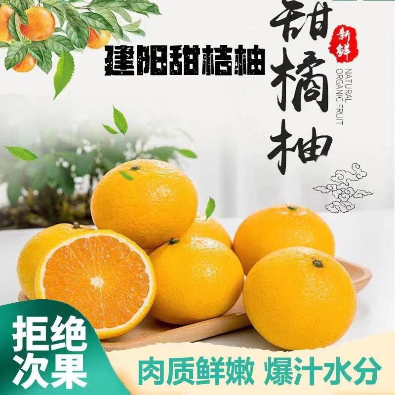 正宗福建建阳酸甜桔柚春见耙耙柑新鲜多汁酸甜可口广西武鸣头茬