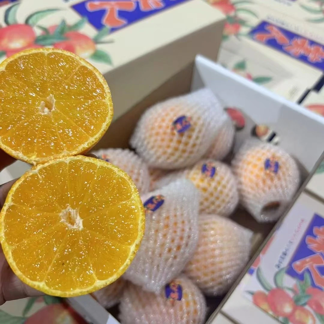 【果真不错】吉亩红美人果冻橙 果肉细腻无渣，颗颗爆汁，纯甜无酸 1件约3斤（武汉小时达 武汉同城配送）