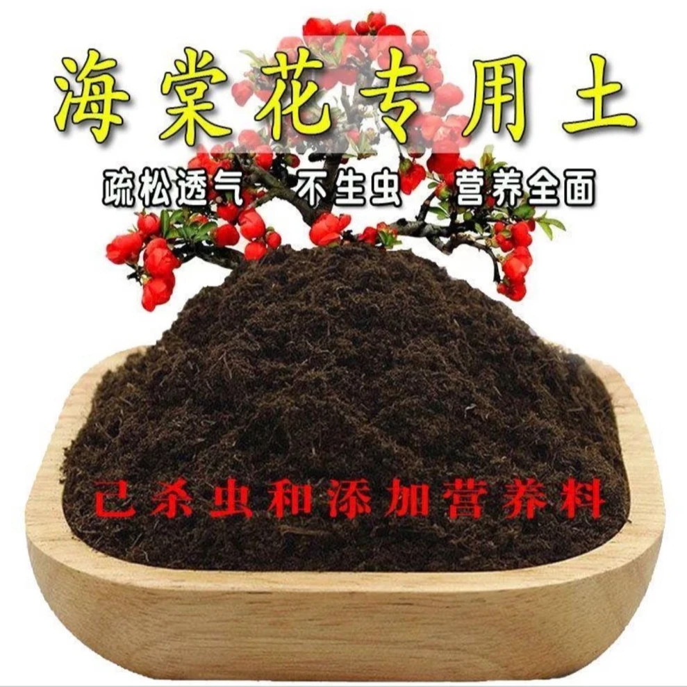 【海棠基地专用土】五斤装