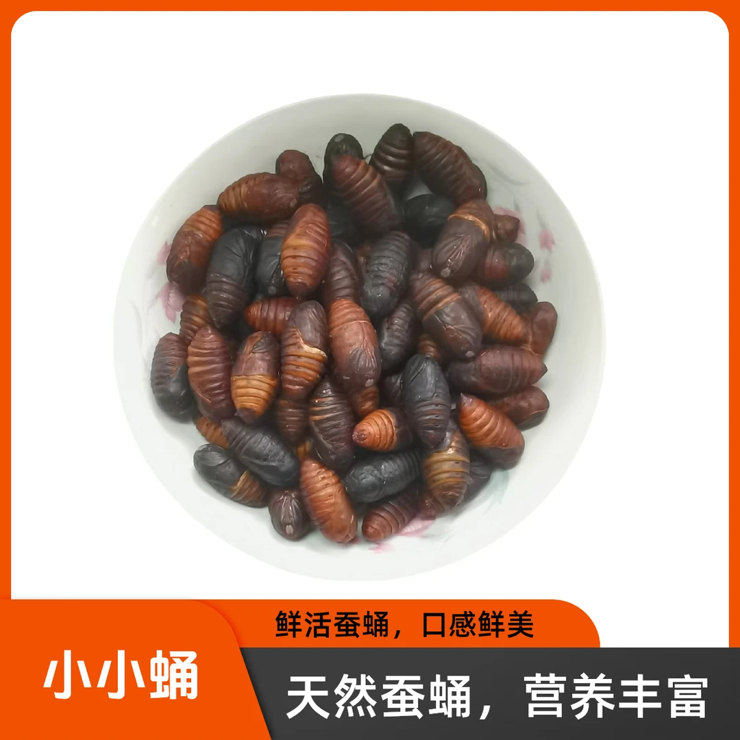 小小蛹每斤约85个左右介意勿拍东北特产产地直发包邮到家蚕蛹鲜活