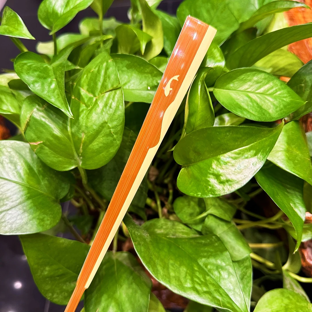 李专伟  95寸子非鱼折扇  文玩苏扇  默认不粘扇面