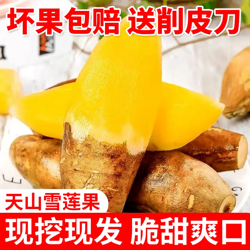 2024年新果云南天山黄心雪莲果新鲜水果脆甜多汁带箱五斤DK