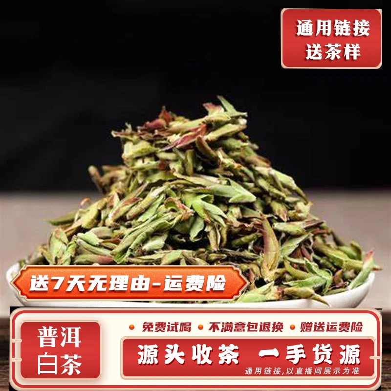 普洱茶95号500g2024年勐库大雪山野生白芽孢散茶带茶样MK3474