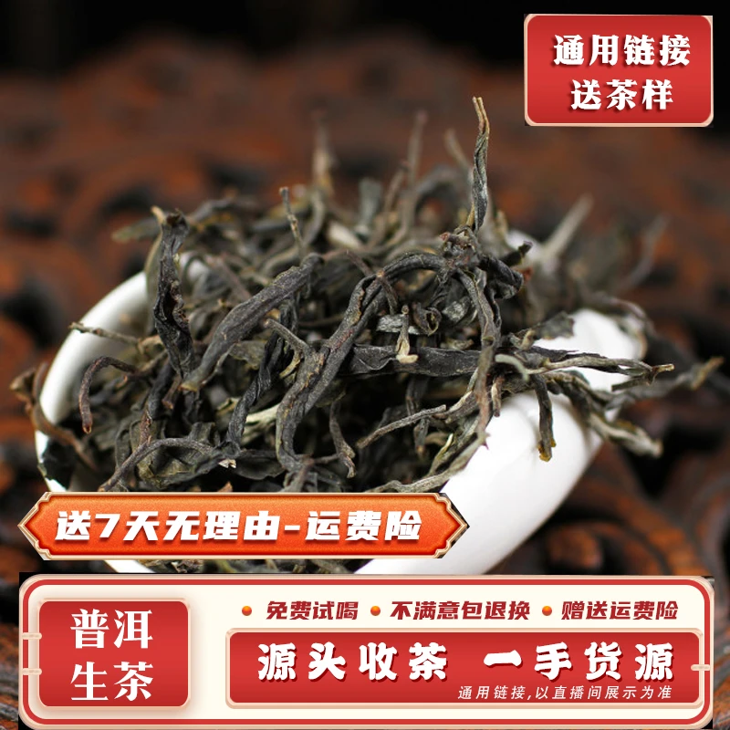 普洱茶538号250g2024年勐库包麦地大树混采生散茶带茶样MK224