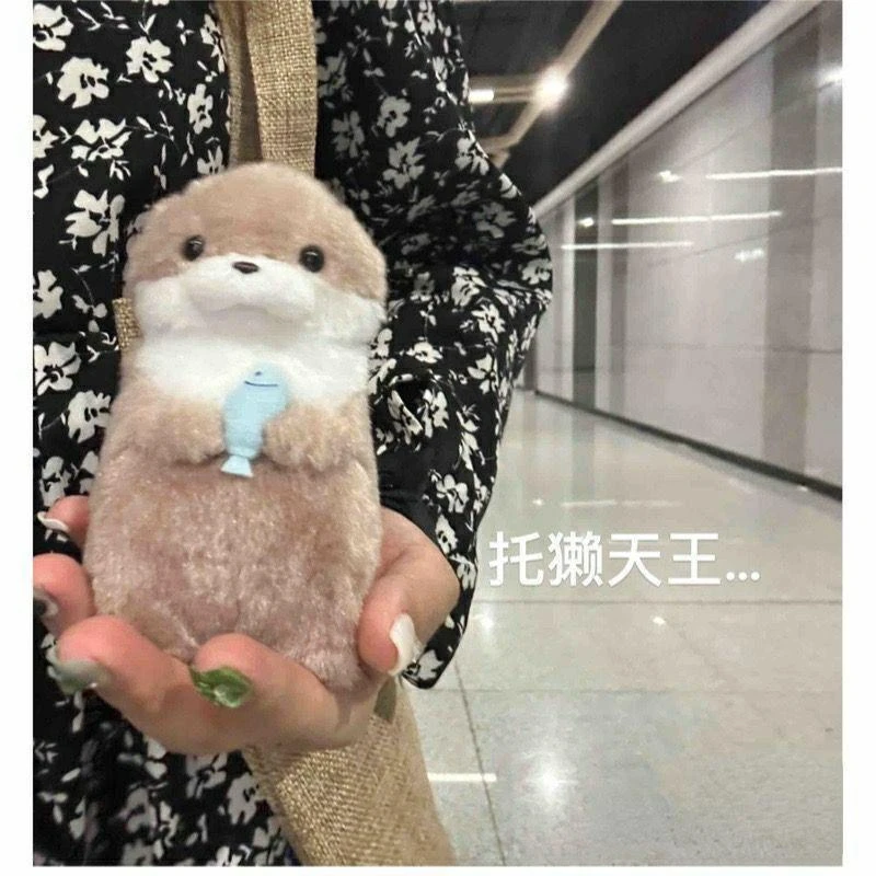 【艺凡】可爱小水獭抱鱼毛绒玩偶挂件公仔礼物李灿送礼可爱创意礼物
