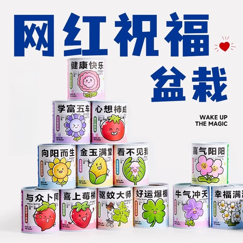 【艺凡】开学礼物易拉罐植物桌面小盆栽儿童花卉绿植好养活种子