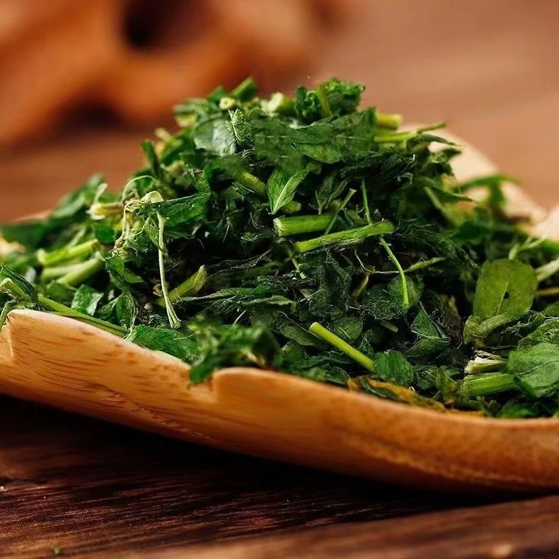 【欣竹益长】新鲜炒干鸡骨草茶直接冲水清香甘甜