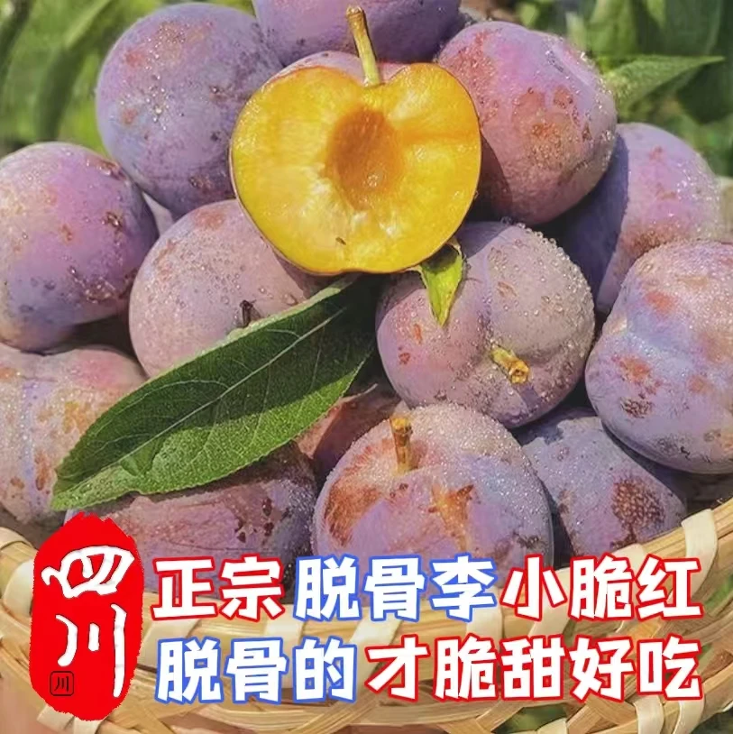 【顺丰快递】正宗四川脆红李脆李子脆甜爽口新鲜采摘凤凰李产地直发