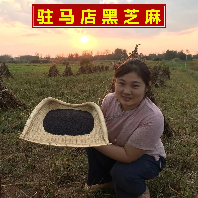 2025驻马店黑芝麻正宗农家黑芝麻杂粮生芝麻可做黑芝麻糊黑芝麻丸