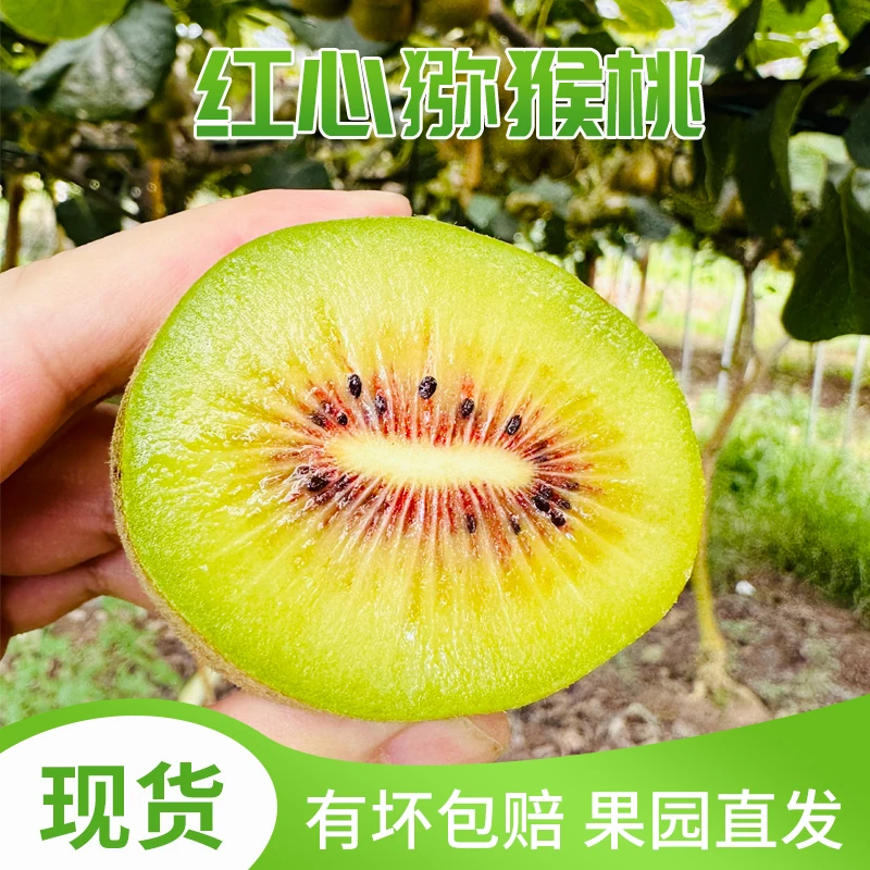 【包甜坏果包赔】江山高山红心猕猴桃新鲜水果奇异果4.5斤包邮