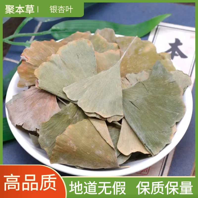 银杏叶正品新货银杏叶白果叶新鲜干货银杏叶泡茶泡水叶菜散装新货