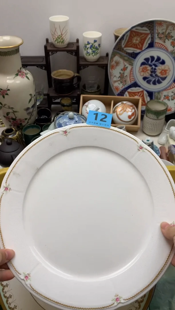 【闪购商品】密胺瓷片12
