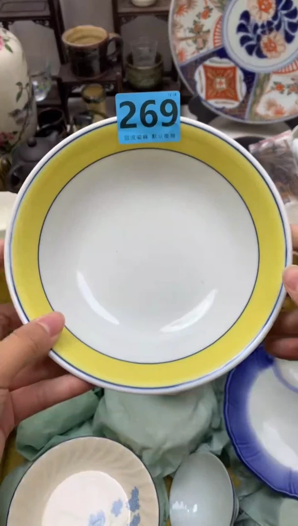 【闪购商品】密胺瓷片269