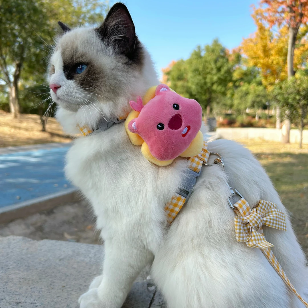 loopy小海狸可爱猫猫牵引绳高颜值防走丢工字型遛猫牵引绳栓猫链