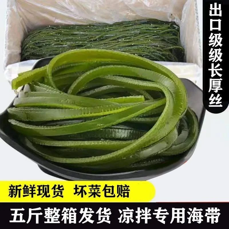 盐渍海带丝优质海带丝新鲜营养脆爽鲜嫩厚实鲜腌制五斤今年新海